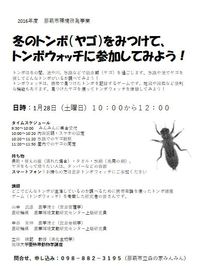 冬のトンボ（ヤゴ）を見つけて、トンボウォッチに参加してみよう！のご案内 2017/01/12 17:45:04