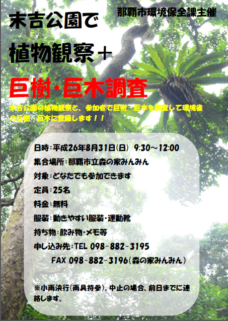 巨樹・巨木調査