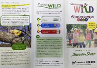 幼児向け環境教育プログラムの指導者養成講座のお知らせ 2018/02/12 19:10:47