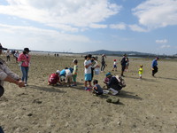 泡瀬干潟人工島試験運用干潟観察会 2016/11/12 17:21:40