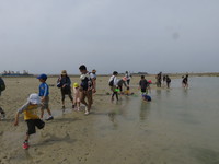 浜下り 2017/03/31 12:20:24