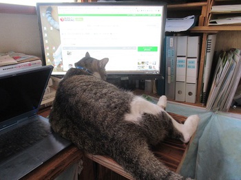 なんの心配もなし