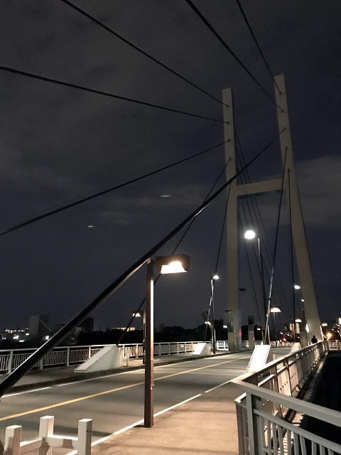 天界への回廊？