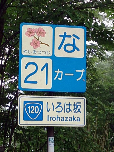 日光百粁1806！