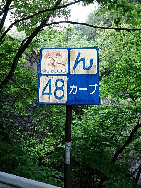 日光百粁1806！