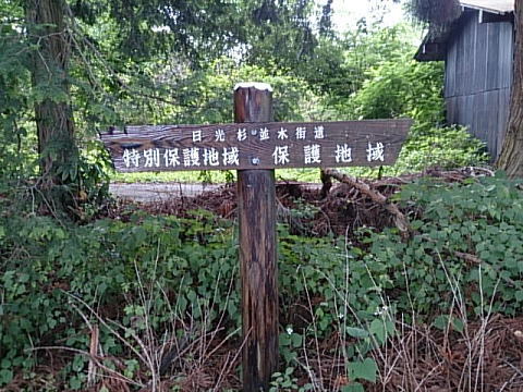 日光百粁1806！