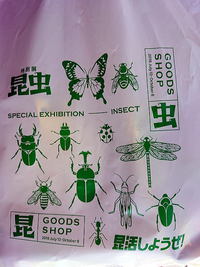特別展「昆虫」＠国立科学博物館！！♪♪（7/14） 2018/07/19 07:08:45