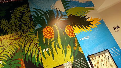 珠玉の昆虫標本＠東大＆科博昆虫展見納め！（10/6）