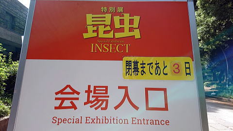 珠玉の昆虫標本＠東大＆科博昆虫展見納め！（10/6）