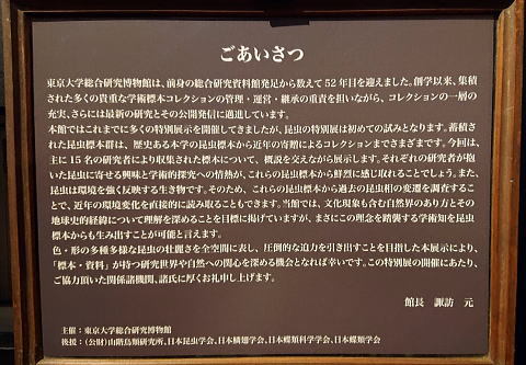 珠玉の昆虫標本＠東大＆科博昆虫展見納め！（10/6）