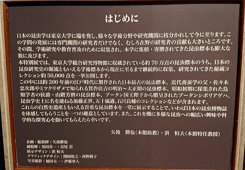 珠玉の昆虫標本＠東大＆科博昆虫展見納め！（10/6）