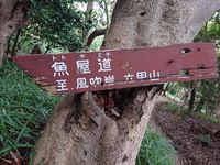 表魚屋道？ 2019/11/05 06:17:34