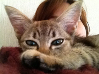 ♡タイ君♡ 2013/05/07 12:27:22