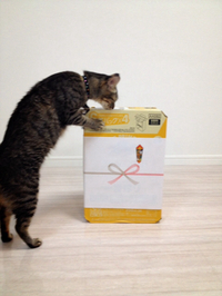 移転しました…。 2014/06/02 20:10:16