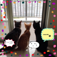 明日より。。。 2014/10/12 14:34:27