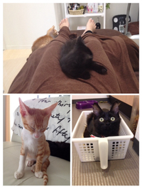 歓迎 2014/10/04 13:20:57