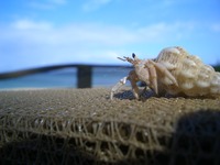 行ってきました♪