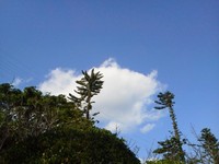今日は良い天気でしたね～♪