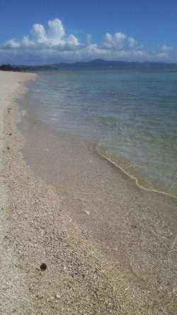 キャンプ写真集②（ウミウシと遭遇～）
