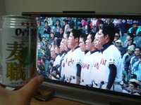 甲子園