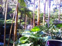 カフェ山甌