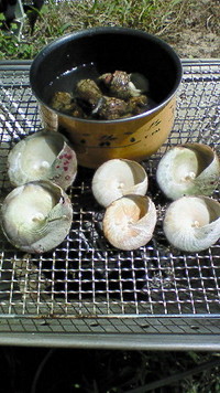 GWキャンプ～