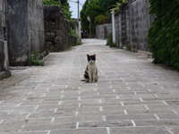 久高島キャンプしてきましたよ～♪