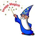 Image Magick稼働せず 2005/10/14 00:00:00