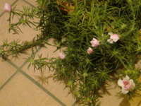 台風でも…。 2010/10/28 14:52:18
