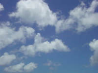 メガネ半額!? 2011/07/16 14:38:58