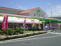 道の駅『豊崎』  菜々色畑 2011/07/17 23:13:35
