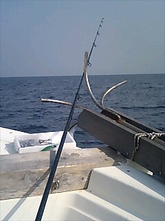 釣り
