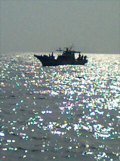 釣り