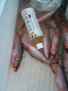 釣り