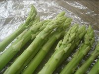 アスパラ料理 2010/07/11 07:15:00