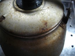 ネオポポラ、お掃除モニター