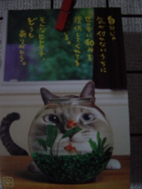 歩きタバコ