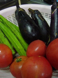 野菜てんこもり