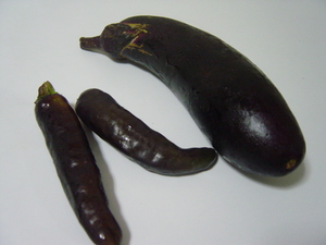 野菜てんこもり