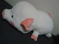 ひさしぶり 2005/09/15 19:33:42