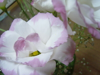 お花