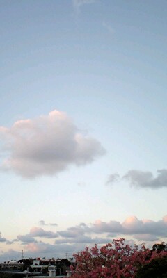 夕日に浮かぶ雲＾＾
