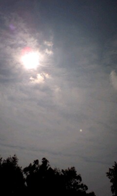 恩納村！山芋スーブ♪２