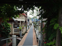 どの道をえらぶのか 2012/10/08 19:04:00