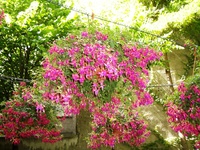東日本大震災は大丈夫かな 2011/05/21 10:52:06