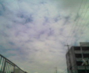 ◎お休み◎ 2008/04/29 12:30:12