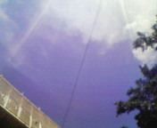 ◎よかお天気◎ 2008/06/08 10:17:00
