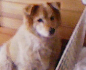 ◎最近のあたくし◎ 2009/02/01 01:45:21
