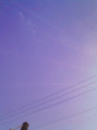 ◎お彼岸の、へぇ〜◎ 2009/03/21 23:30:00
