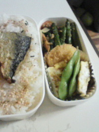 ◎お弁当◎ 2009/11/06 18:00:00